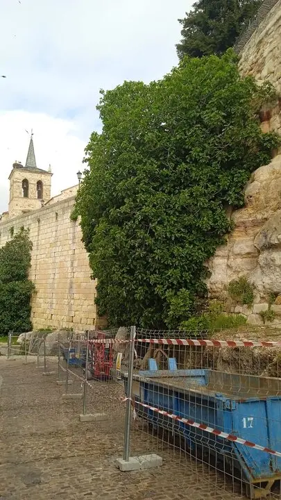 obras en la muralla de Zamora, Ecologistas Zamora