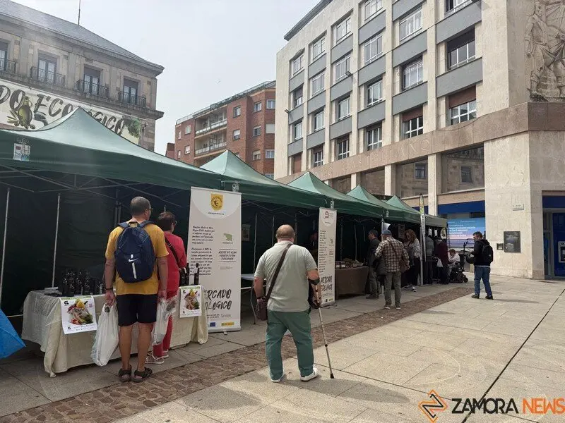 mercado ecológico de Zamora 