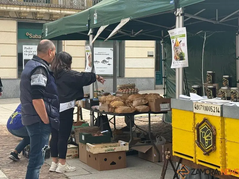 mercado ecológico de Zamora _5
