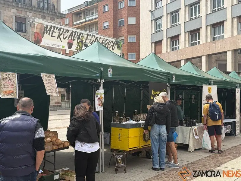 mercado ecológico de Zamora _6