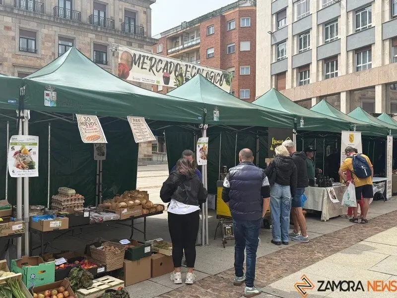 mercado ecológico de Zamora _7