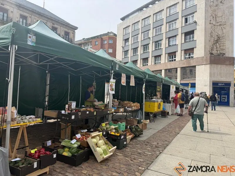 mercado ecológico de Zamora _10