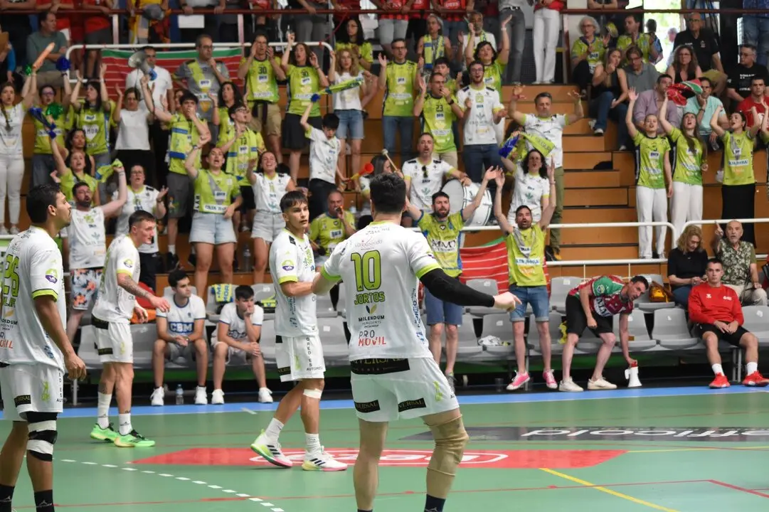 bm zamora fase ascenso (20)