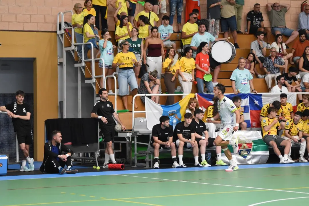 bm zamora fase ascenso (14)