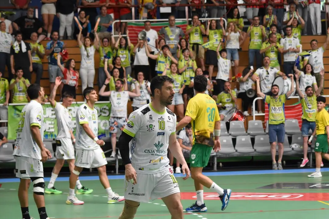 bm zamora fase ascenso (13)