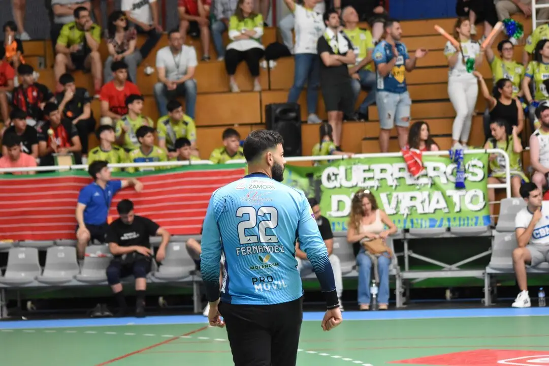 bm zamora fase ascenso (1)