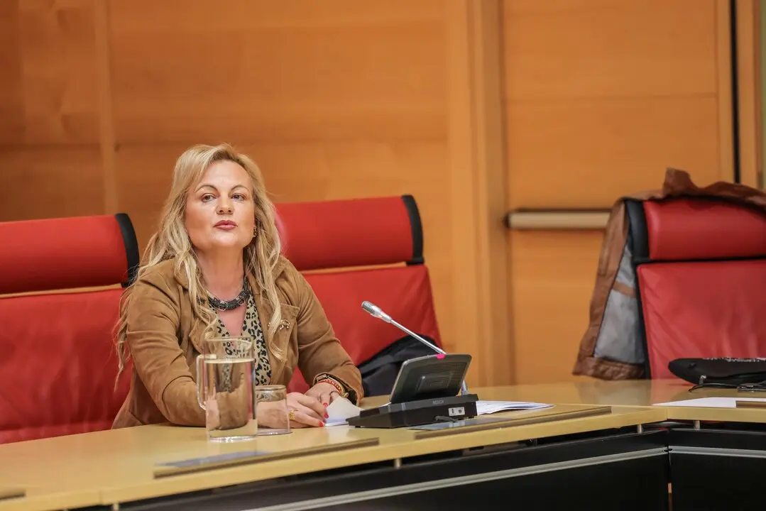 procuradora Marisa Calvo vox