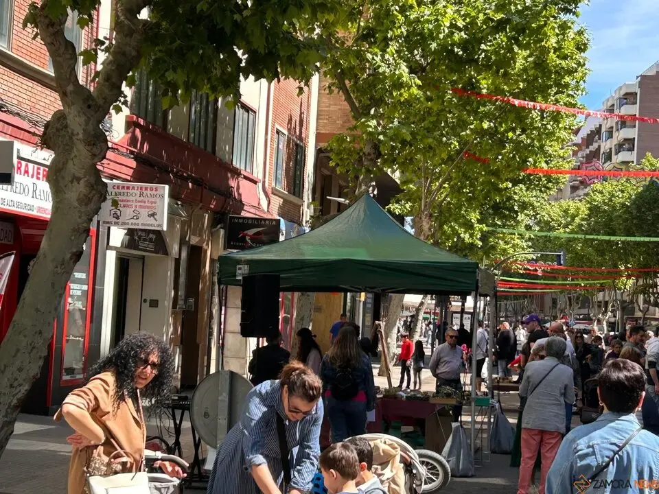 Avenida Tres Cruces, Fiesta del Comercio de Zamora
