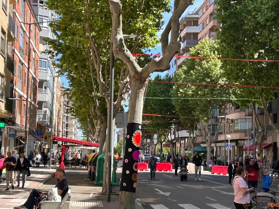 Avenida Tres Cruces, Fiesta del Comercio de Zamora