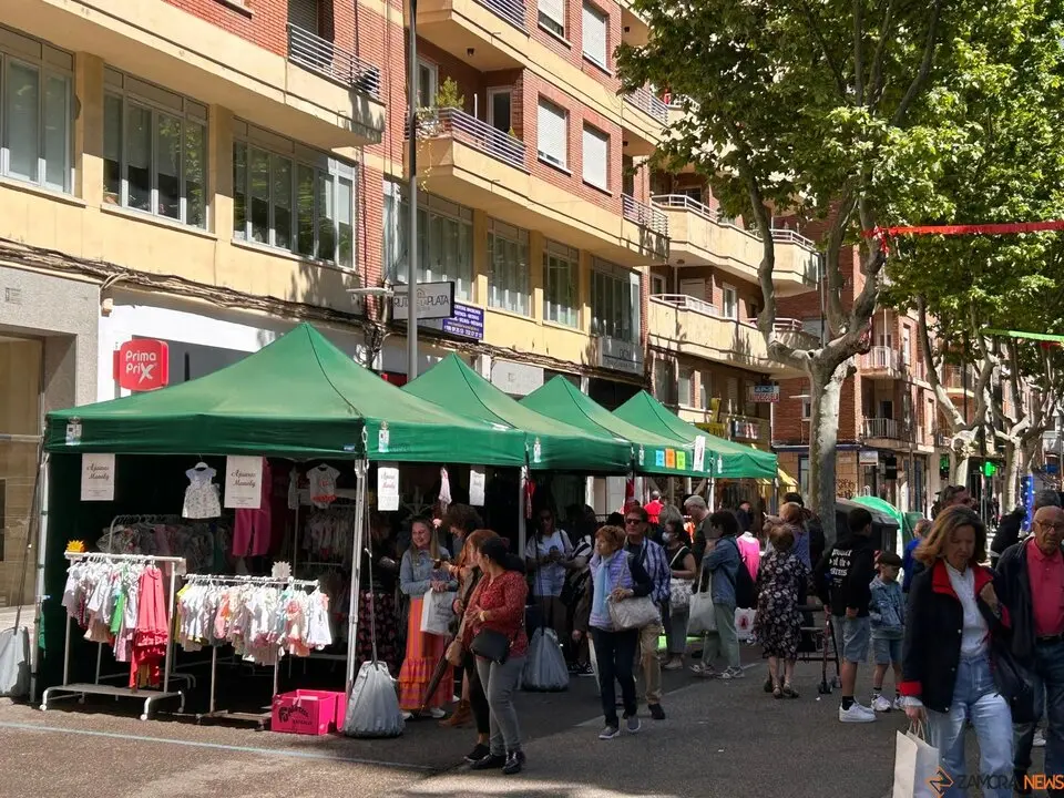Avenida Tres Cruces, Fiesta del Comercio de Zamora