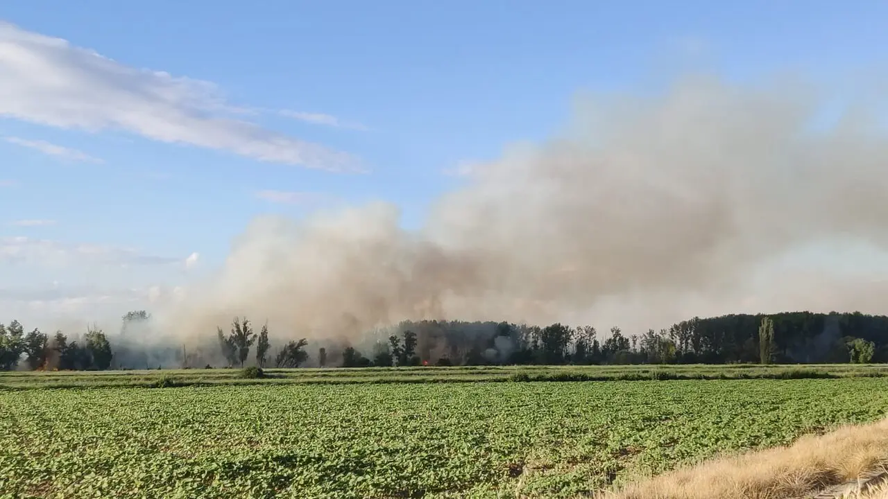 fuego villaralbo (2)