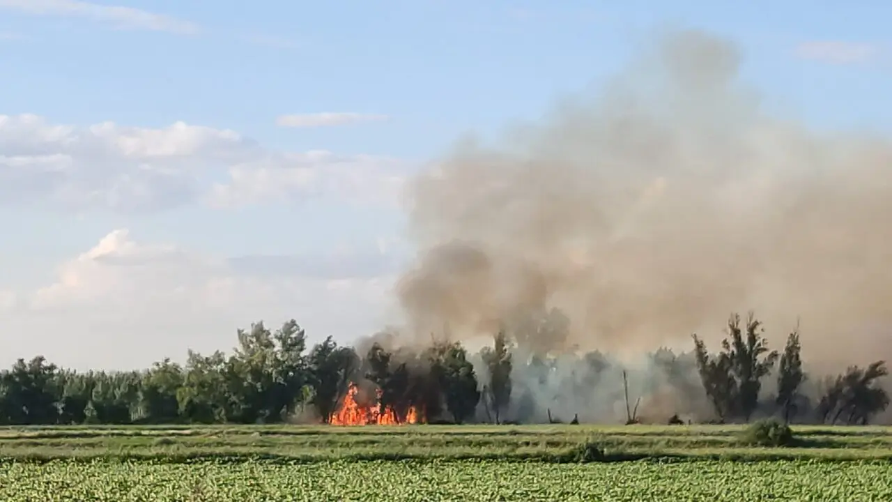 fuego villaralbo (3)