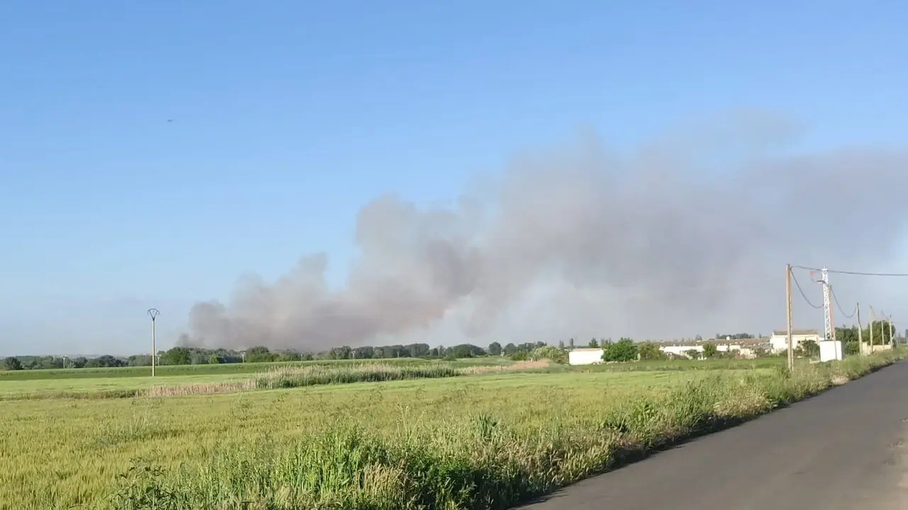 fuego villaralbo (7)