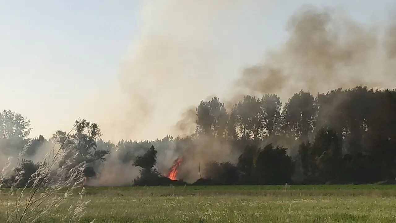 fuego villaralbo  (8)