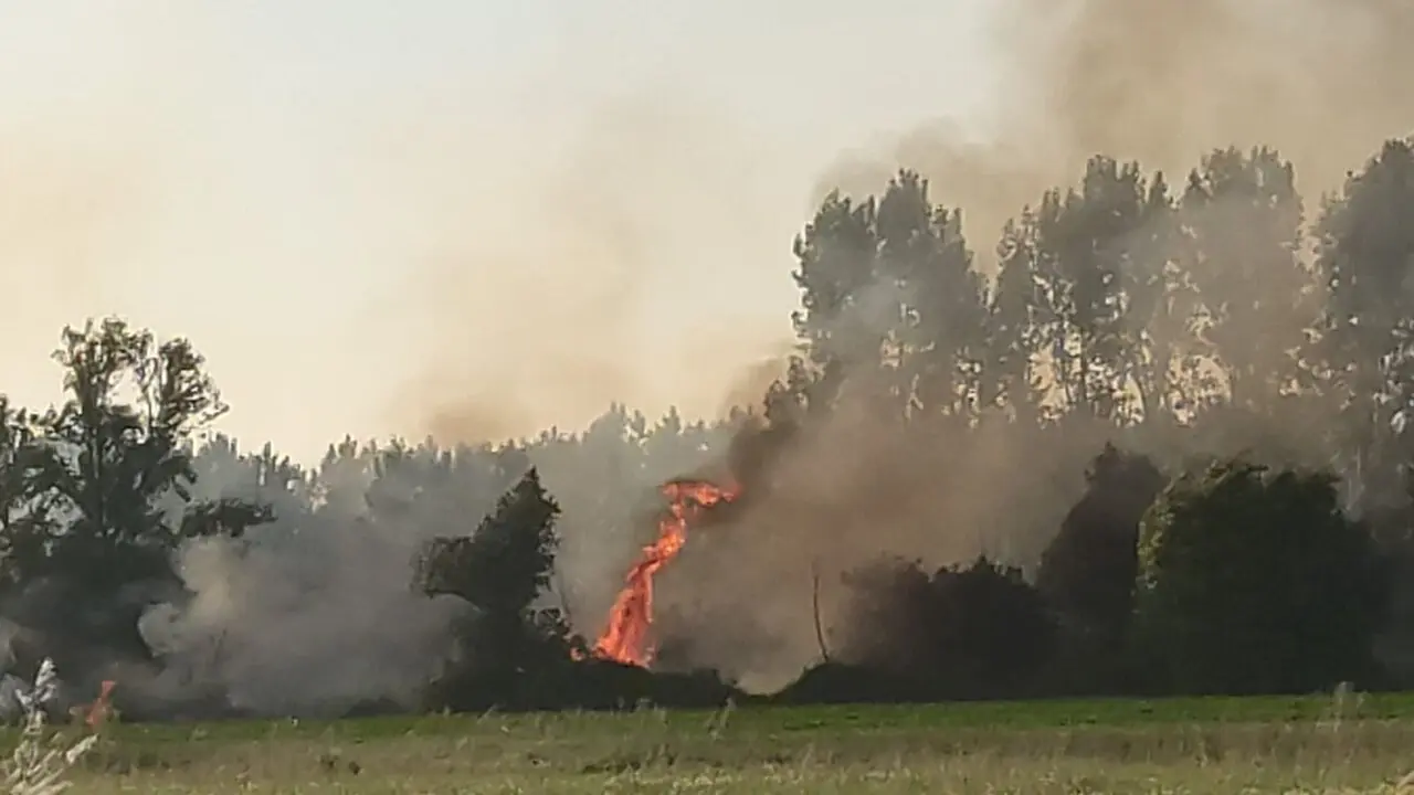 fuego villaralbo (9)