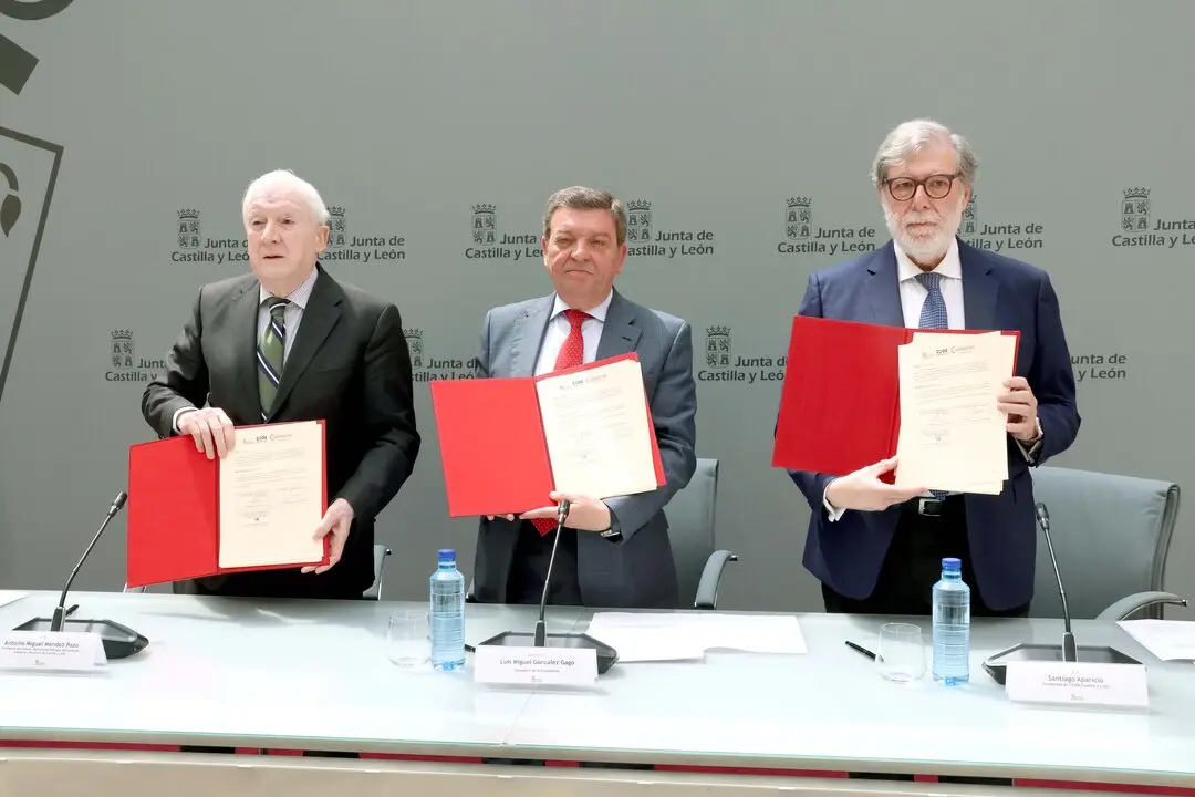 programa ‘Volver a Castilla y León’