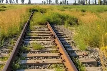Concentración 'El tren vertebra nuestro futuro'