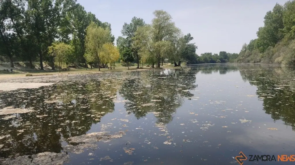 Terabikers - Motoquedada Santibáñez de Tera_5