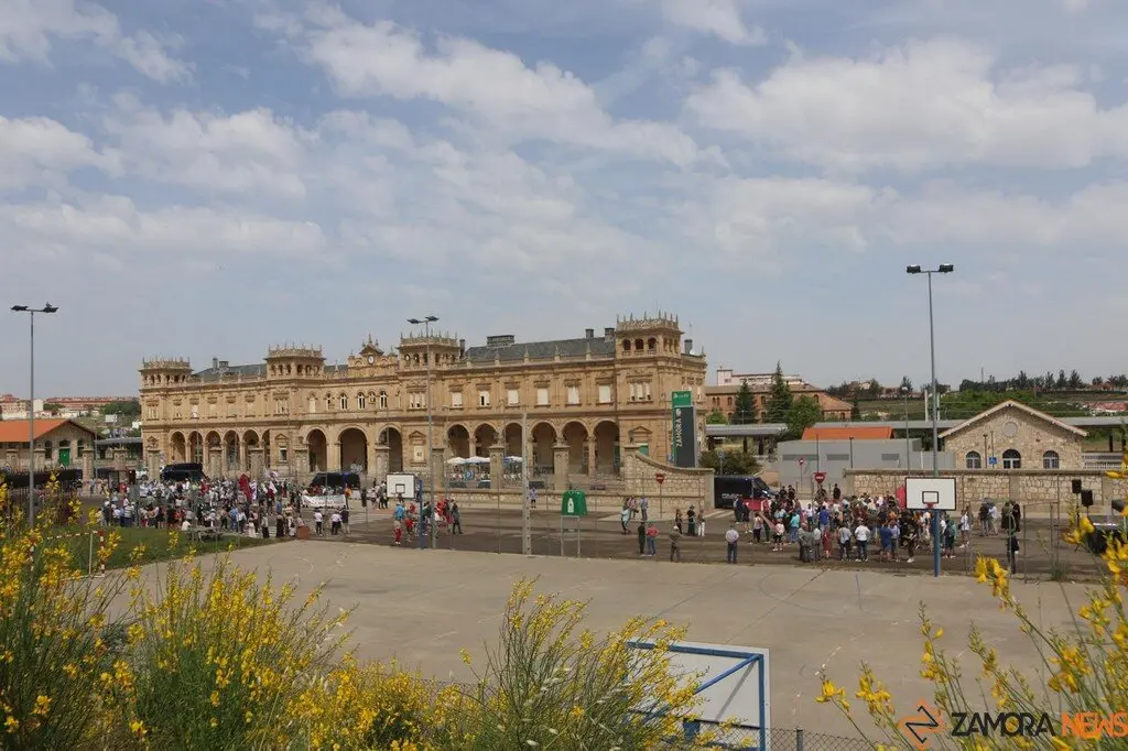Manifestación contra supresión tren Zamora_10