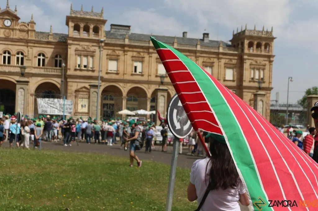 Manifestación contra supresión tren Zamora_21