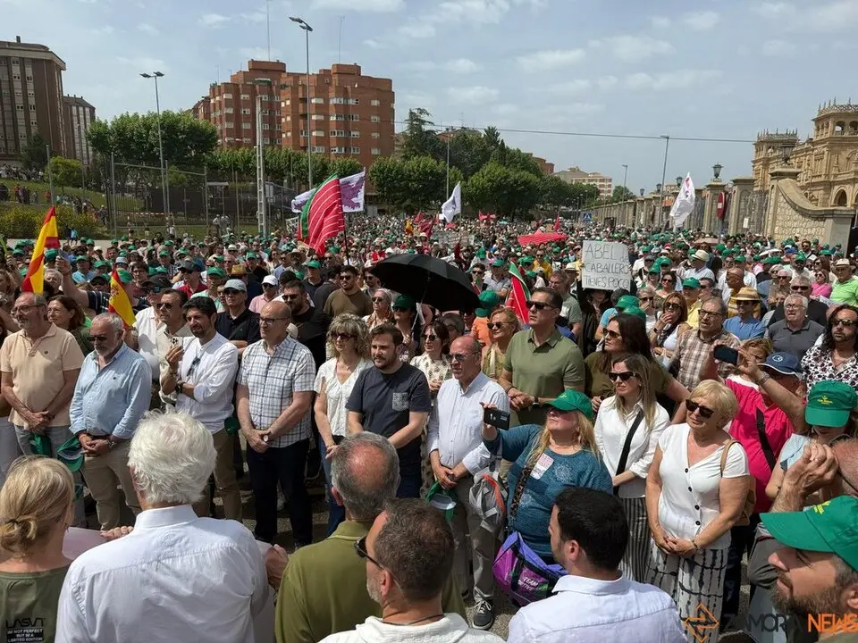 Manifestación contra supresión tren Zamora