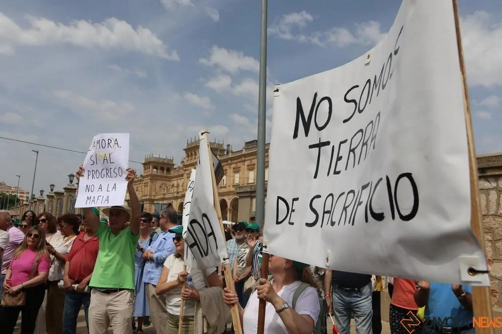 Manifestación contra supresión tren Zamora_12