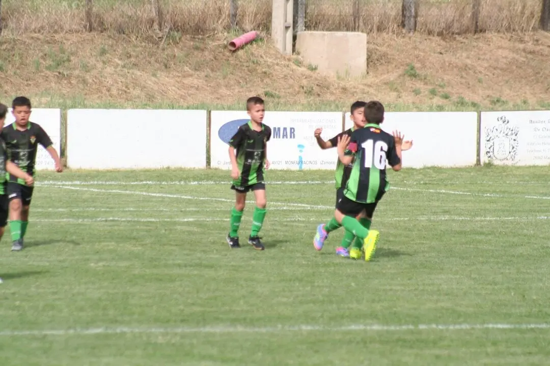 503161824_9750347585086169_132978489849830574_n