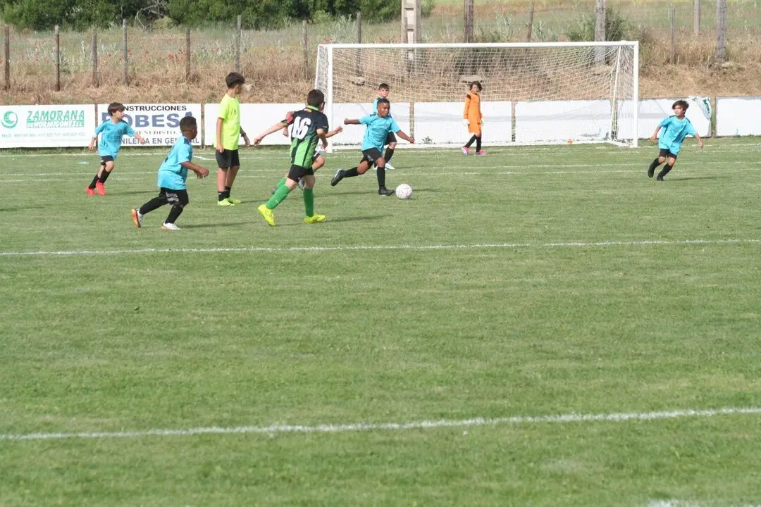 501658900_9750346548419606_6005134158428013585_n