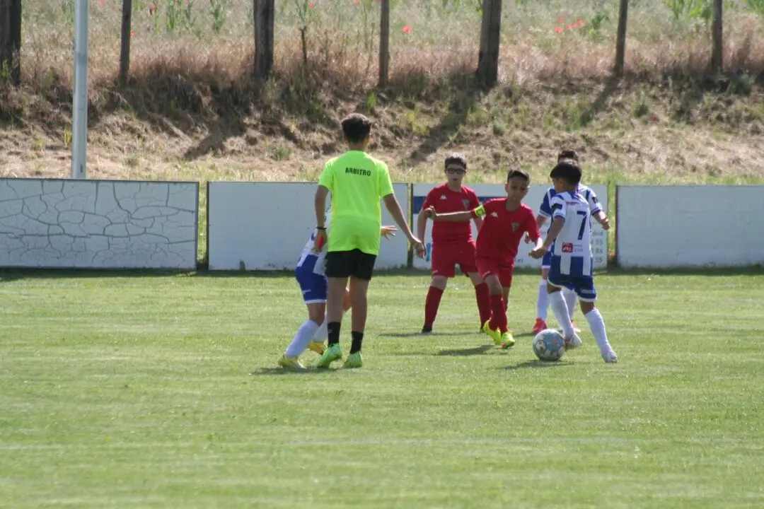 502523866_9750295791758015_7515006539020325213_n