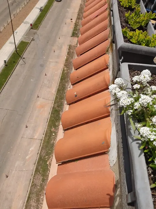 Izquierda Unida Benavente denuncia mal estado calles por las obras