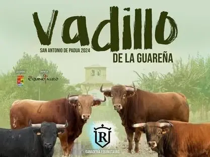 Cartel Fiestas Vadillo de la Guareña