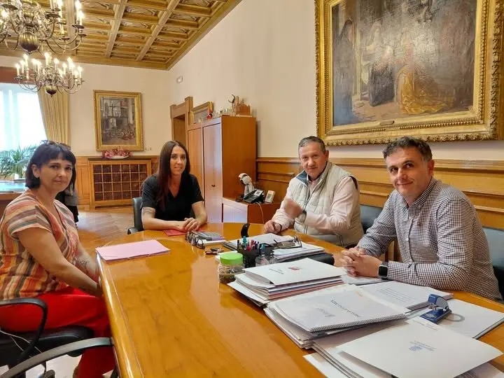 reunión Diputación de Zamora y centros TEA