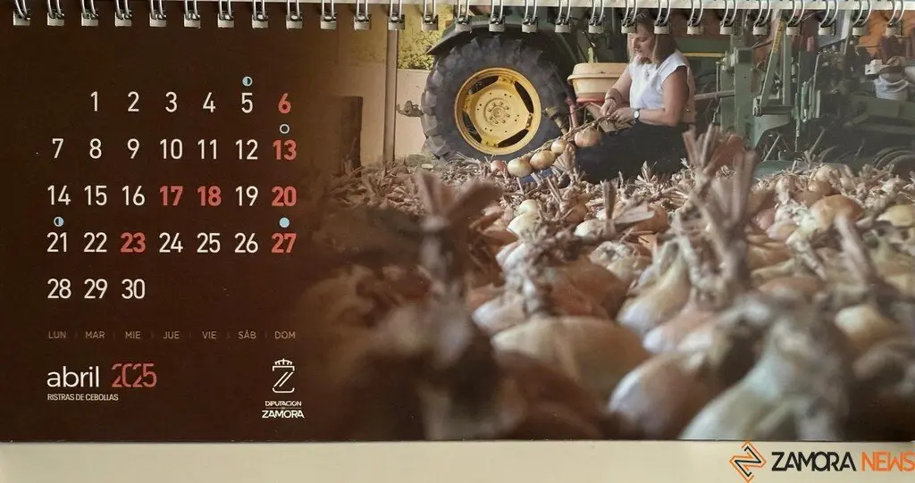 calendario 