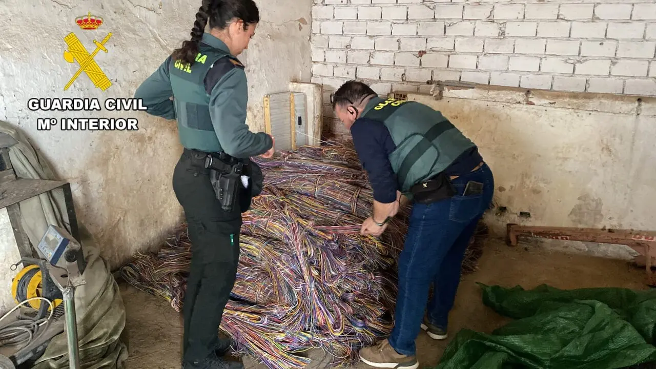 Desmantelan una red que robaba cobre en Zamora