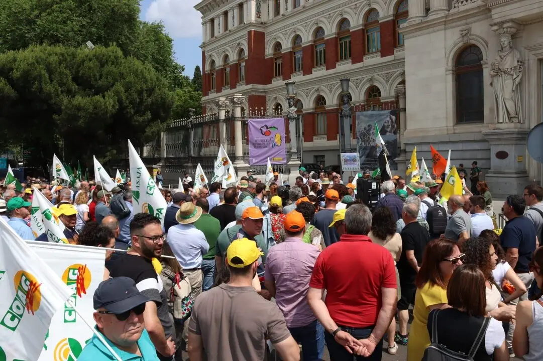 Manifestación de cientos de agricultores