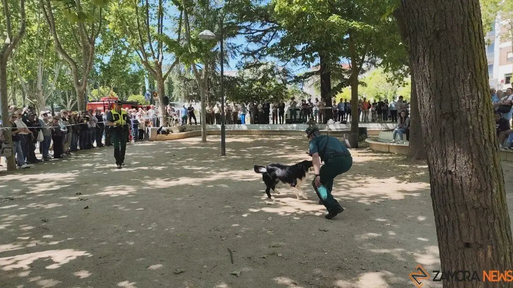 Día de las Fuerzas Armadas en Zamora_4