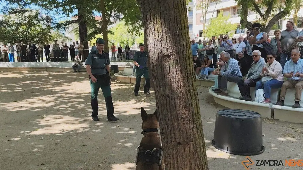 Día de las Fuerzas Armadas en Zamora_6