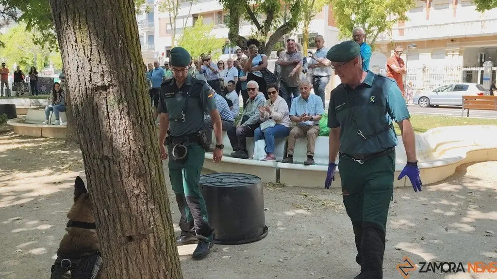 Día de las Fuerzas Armadas en Zamora_9