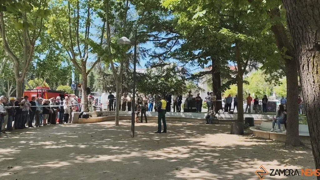 Día de las Fuerzas Armadas en Zamora_8