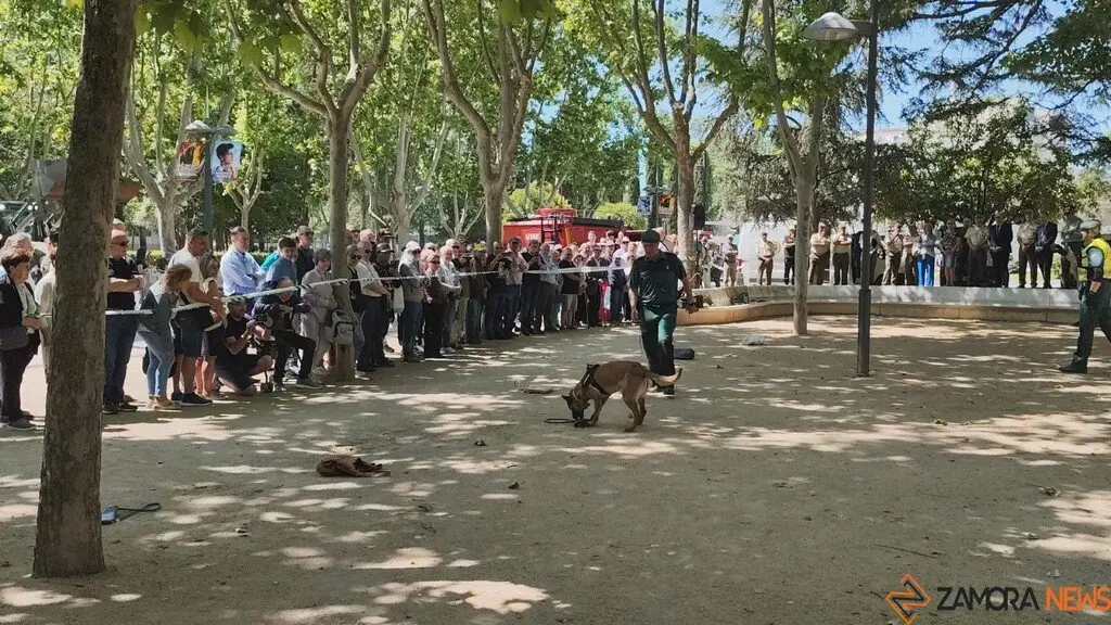 Día de las Fuerzas Armadas en Zamora_10