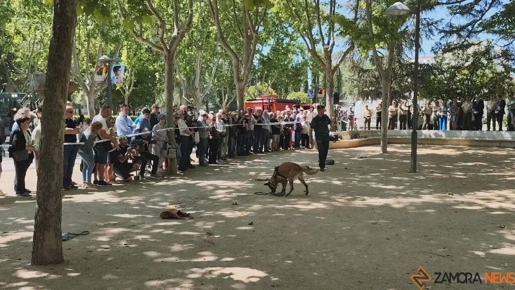 Día de las Fuerzas Armadas en Zamora_11