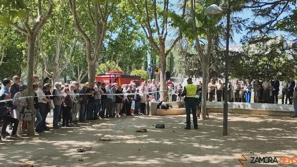 Día de las Fuerzas Armadas en Zamora_12