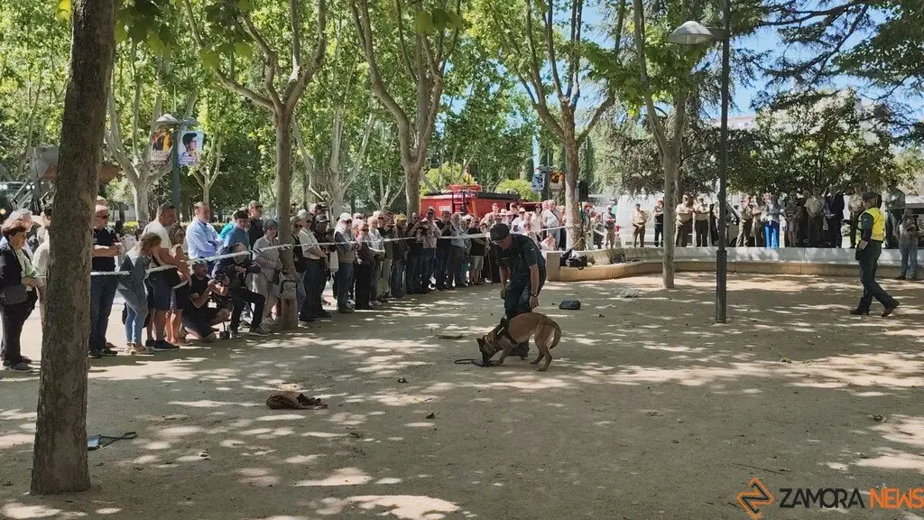 Día de las Fuerzas Armadas en Zamora_14