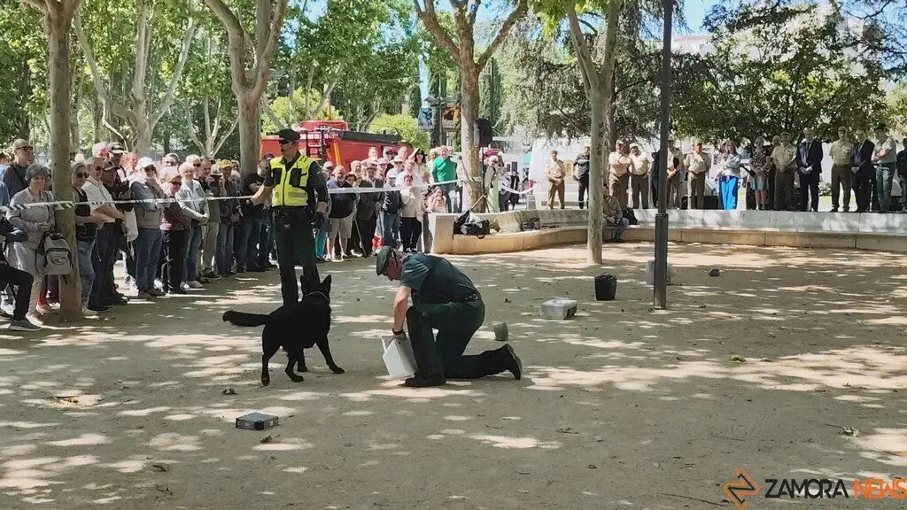 Día de las Fuerzas Armadas en Zamora_15