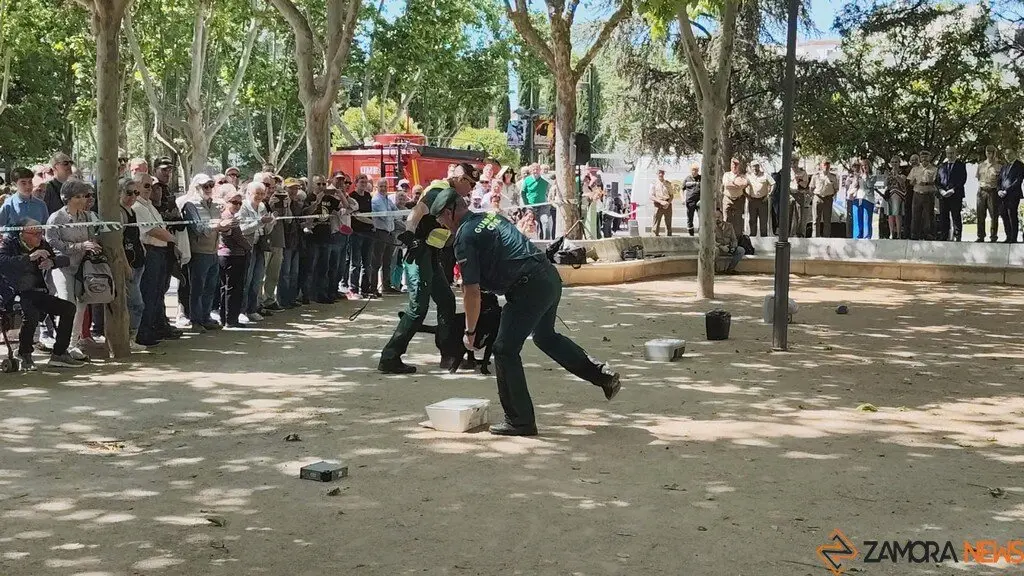 Día de las Fuerzas Armadas en Zamora_18