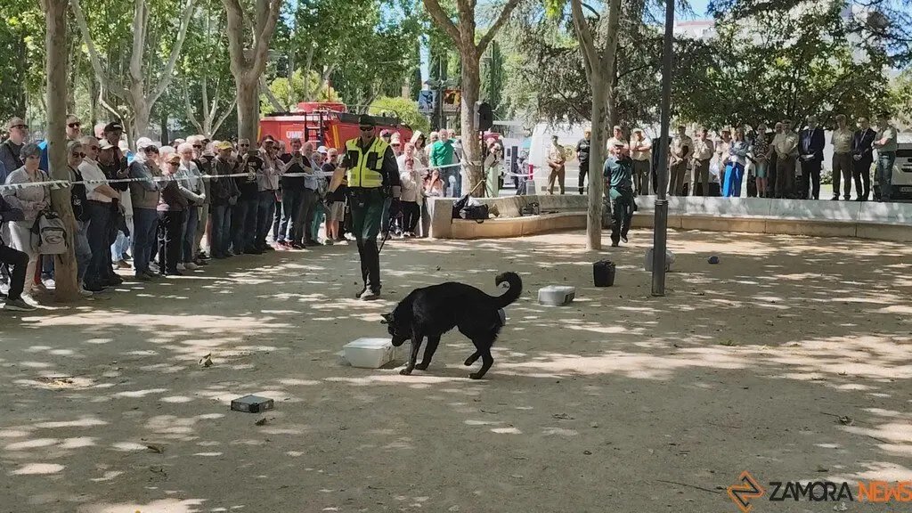 Día de las Fuerzas Armadas en Zamora_23