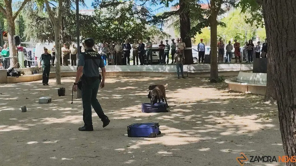 Día de las Fuerzas Armadas en Zamora_24