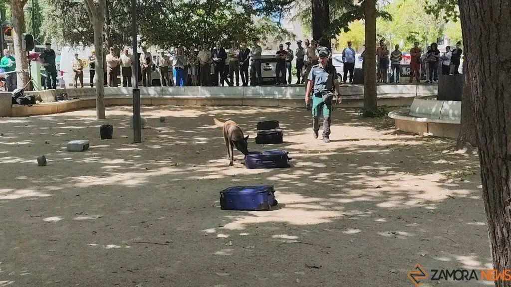 Día de las Fuerzas Armadas en Zamora_27