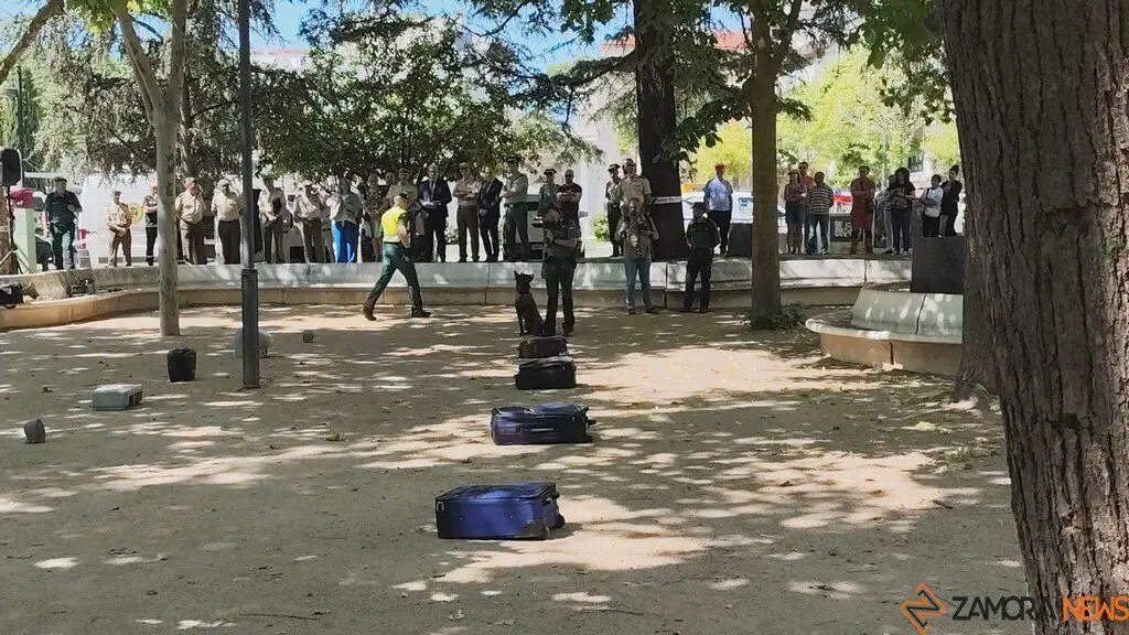 Día de las Fuerzas Armadas en Zamora_31