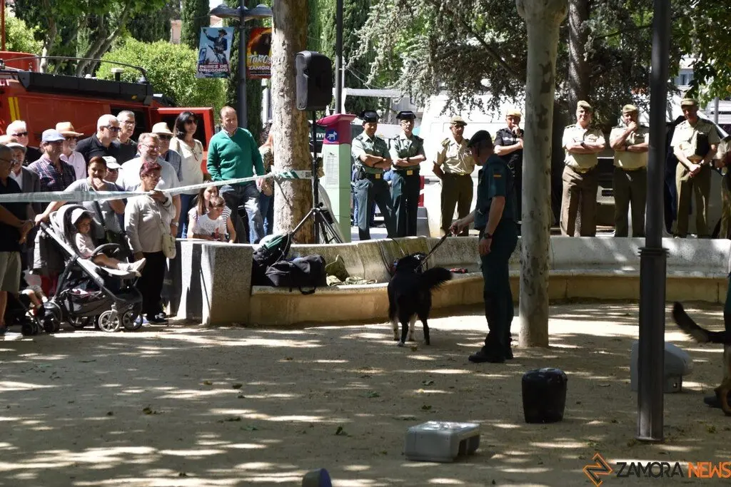 Día de las Fuerzas Armadas en Zamora_32